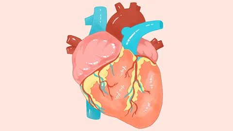 心源性疾病是什么病