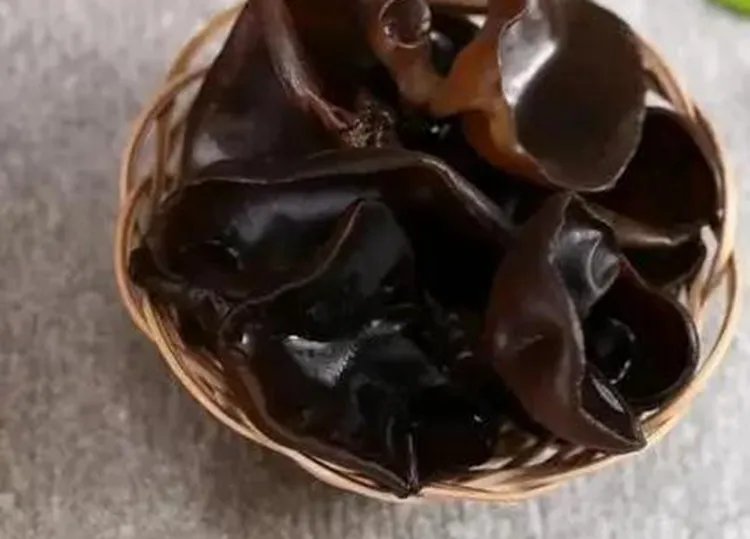 木耳的功效与作用