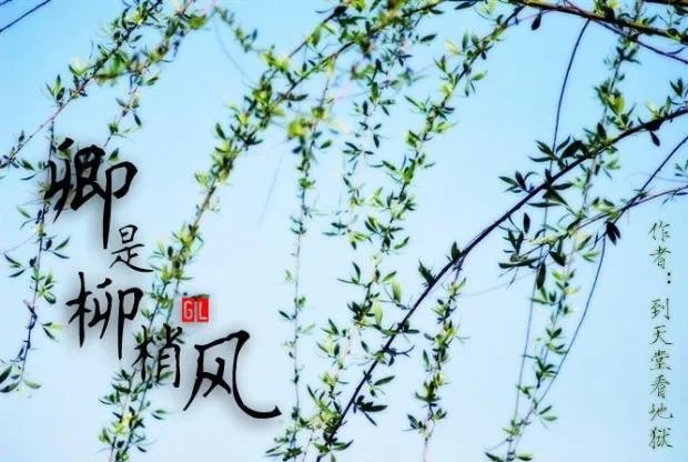 全程车的百合文内容