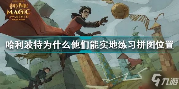《哈利波特》为什么他们能实地练习拼图坐标 为什么他们能实地练习拼图在哪里