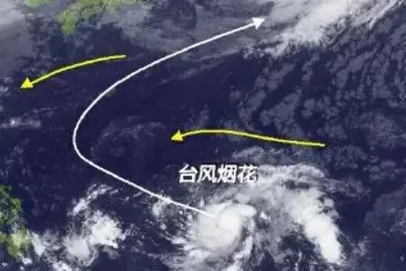 上海气象记者追风现场崩溃嘶吼，台风“烟花”究竟有多猛？