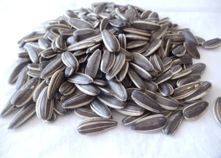 香瓜子的功效与作用