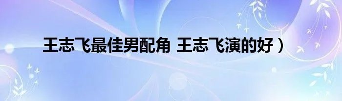 王志飞最佳男配角 王志飞演的好）