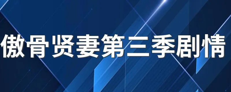 傲骨贤妻第三季剧情 讲述的是什么故事