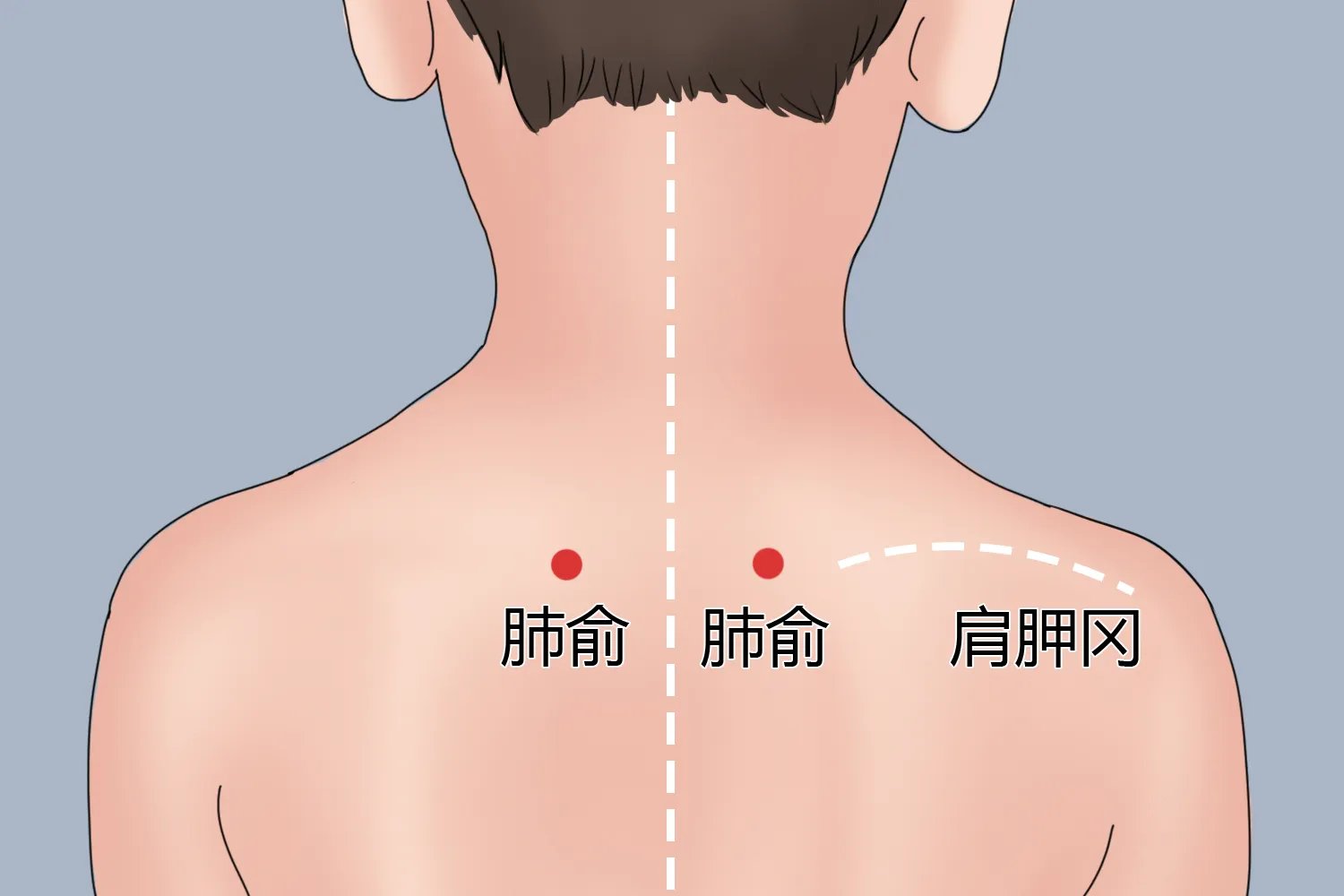宝宝三伏贴贴在哪个位置图片