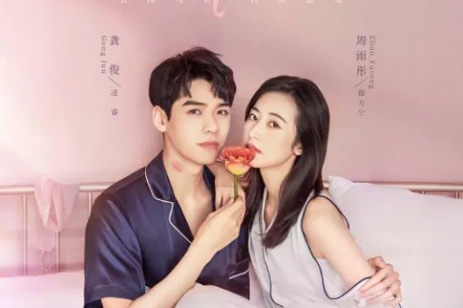 从结婚开始恋爱一共多少集