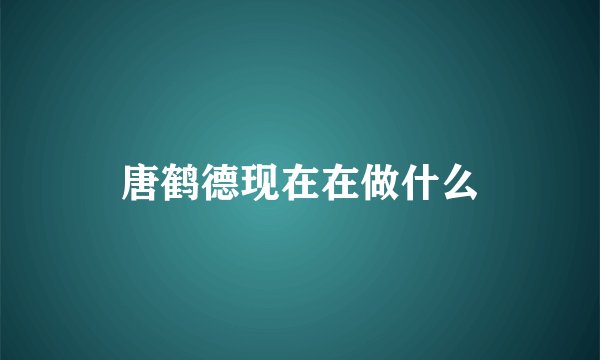 唐鹤德现在在做什么