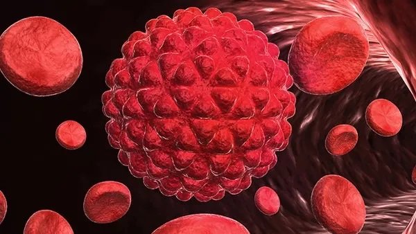 本轮疫情什么时候能结束?新冠疫苗的接种非常关键