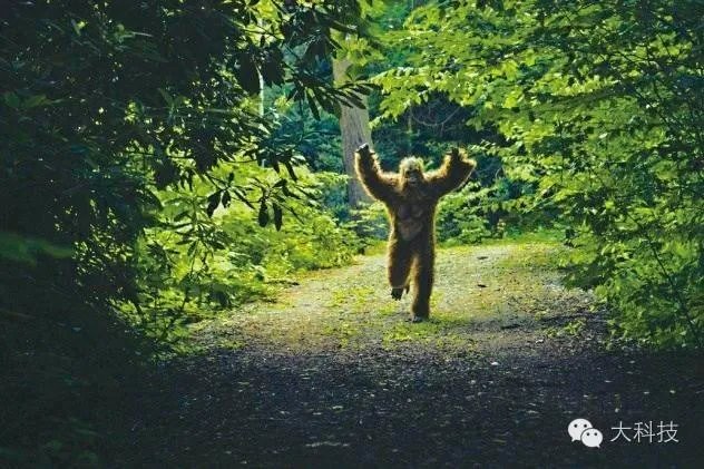 超自然俱乐部吧(超自然术语的奇怪来历)