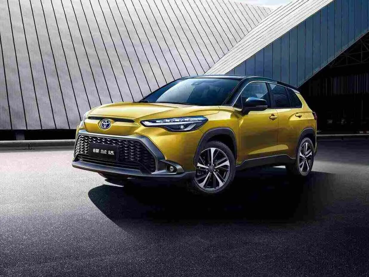 性价比较高的汽车