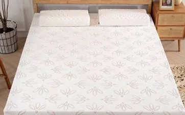 属狗的多大年龄 属狗多大