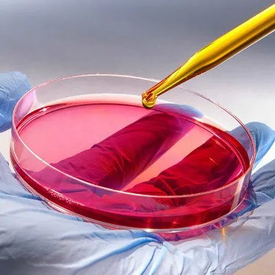 烫发药水过敏是什么症状?