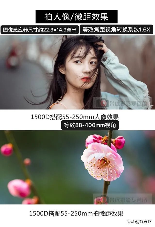 低端单反存在的意义是什么？