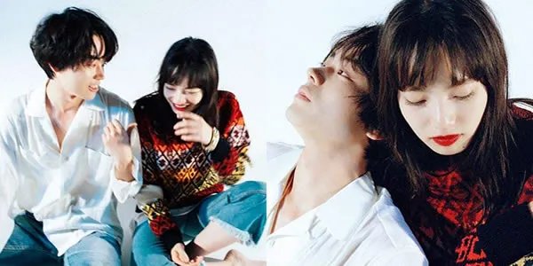 小松菜奈和菅田将晖复合是真的吗