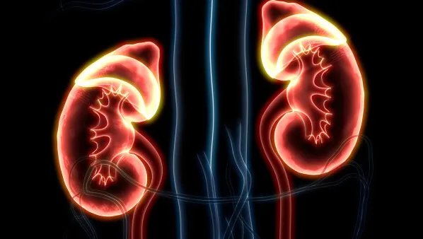 慢性肾炎可以根治吗