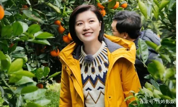 东方卫视主持人陈蓉是谁？