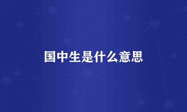 国中生是什么意思