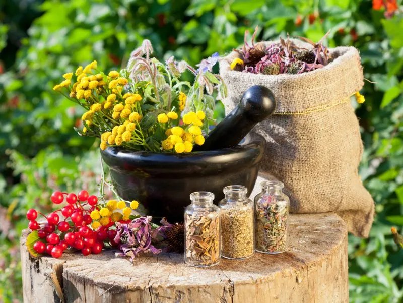 鲜竹沥口服液的作用及注意事项