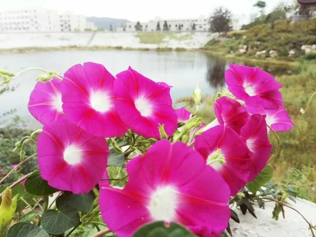 如何看待“最虐狗考研情侣1314考场,女生坐13桌,男生坐14桌”这件事?