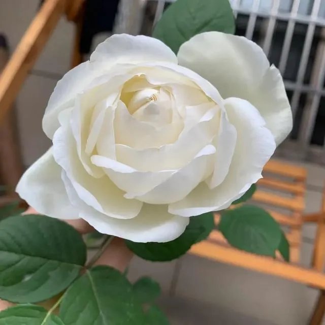 袁隆平院士逝世，为什么很多人很悲伤？