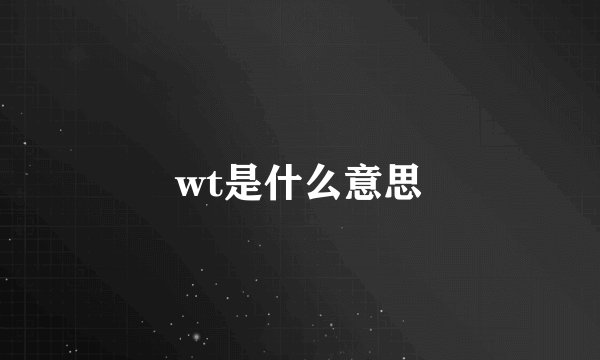 wt是什么意思