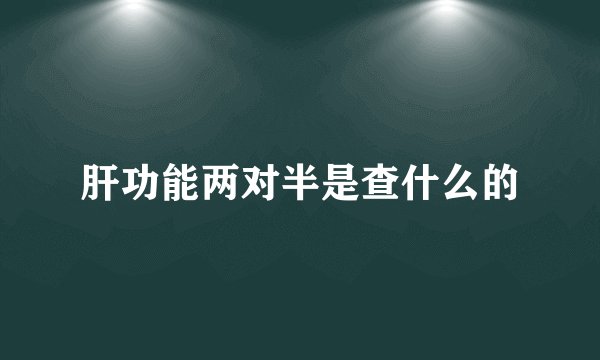 肝功能两对半是查什么的