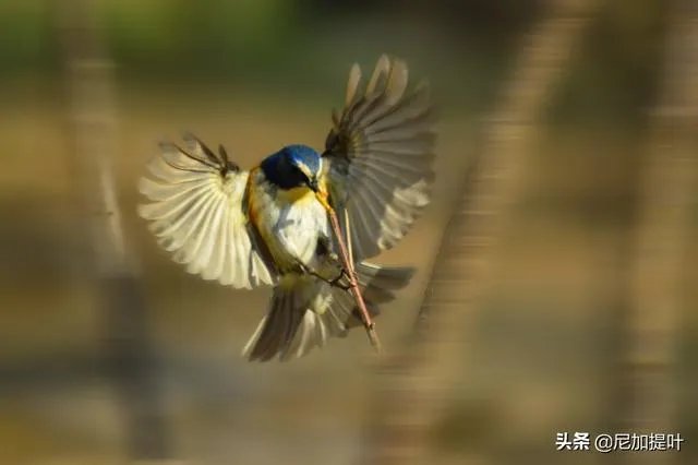 低端单反存在的意义是什么？