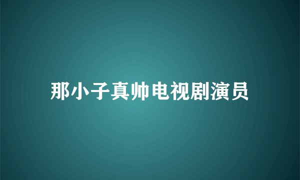 那小子真帅电视剧演员