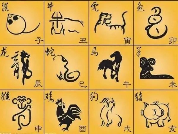 身着彩衣唯利图是指什么生肖