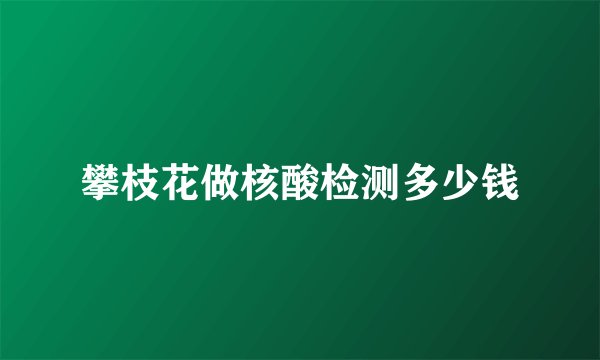 攀枝花做核酸检测多少钱