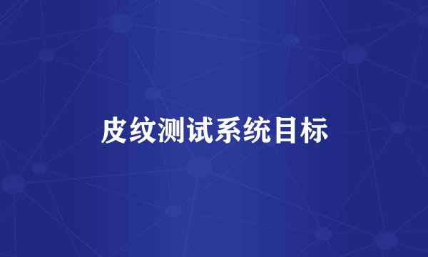 皮纹测试系统目标