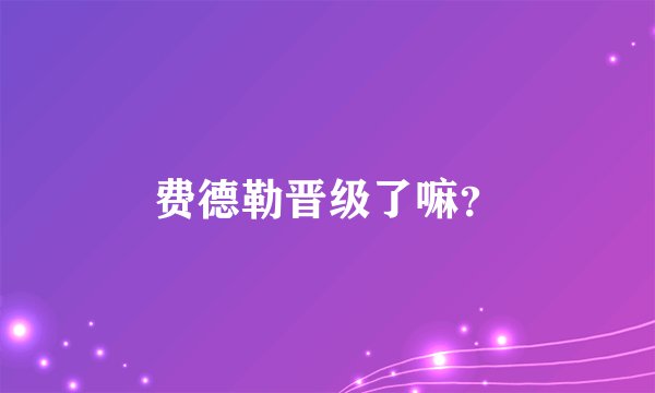 费德勒晋级了嘛?