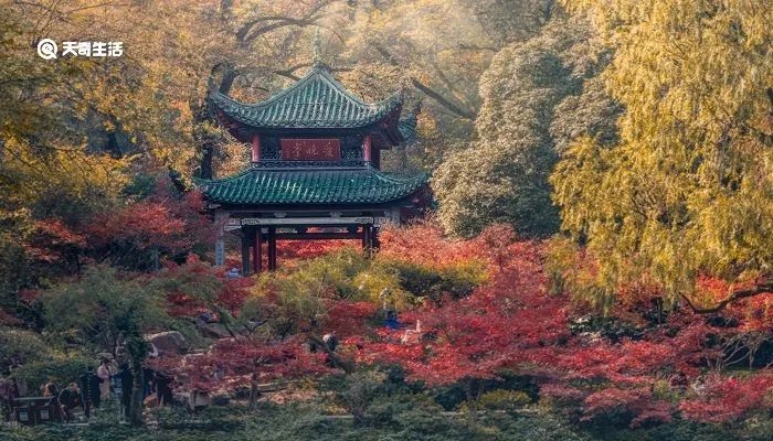 秋色有佳兴下一句