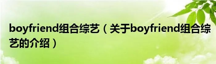 boyfriend组合综艺（关于boyfriend组合综艺的介绍）