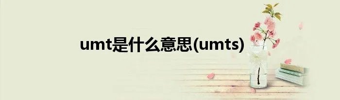 umt是什么意思(umts)