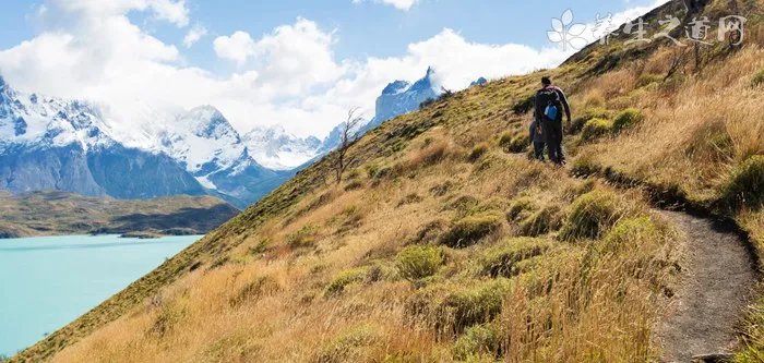 复活节岛地震 地震要注意哪些事项
