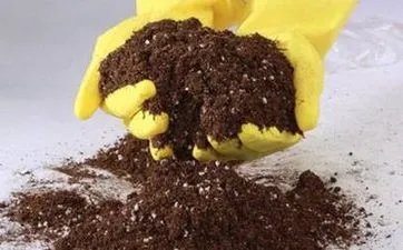 新郎接亲时娘家人要低调 细说古代婚礼习俗