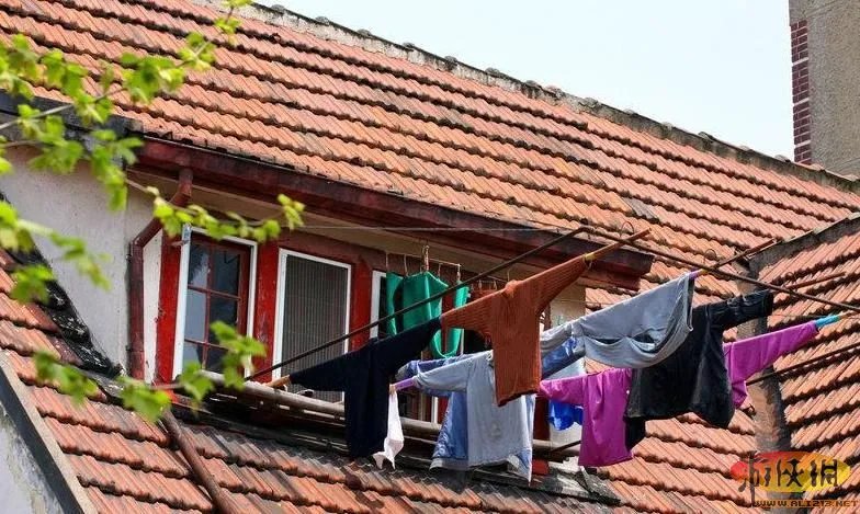 晒没?盘点“中国式晾晒”比“过马路”更壮观