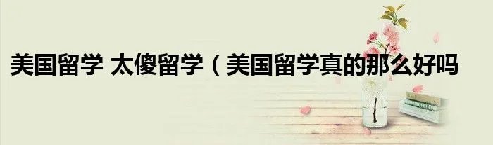 美国留学 太傻留学（美国留学真的那么好吗