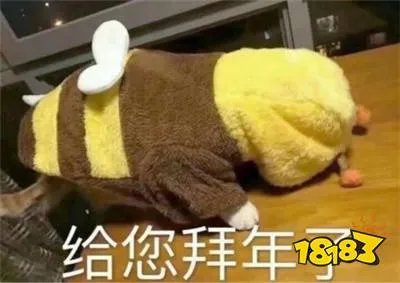 给您拜年了表情包