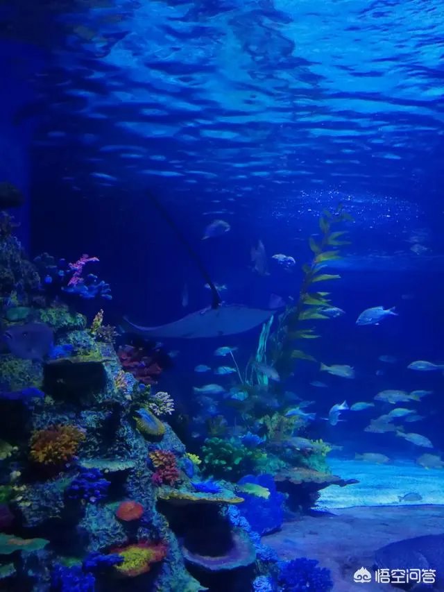 广西北海好玩吗？