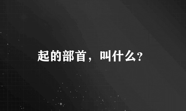 起的部首,叫什么?