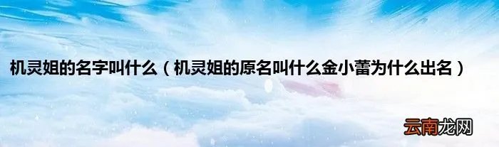 机灵姐的原名叫什么金小蕾为什么出名 机灵姐的名字叫什么