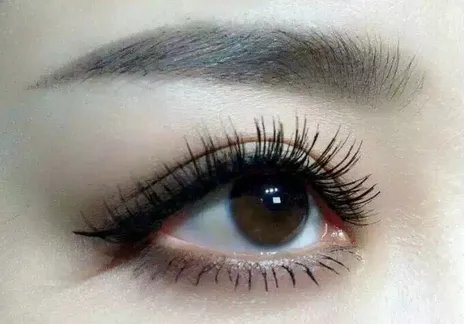 睫毛种植需要多久