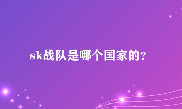 sk战队是哪个国家的？