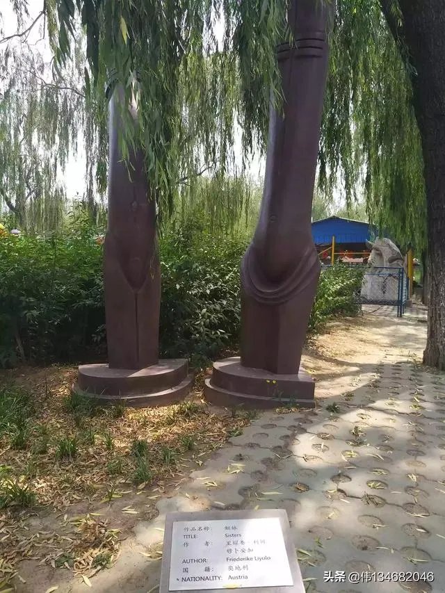 今年清明节还可以扫墓吗？