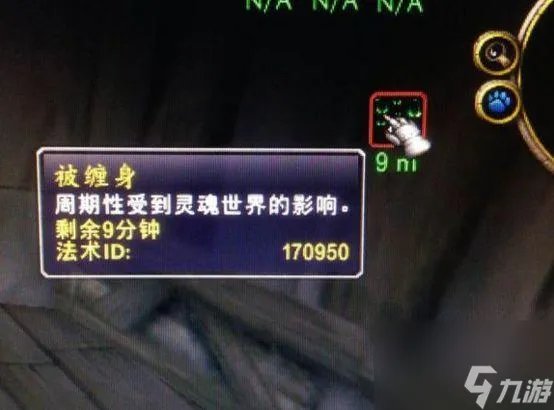 魔兽世界暗月马戏团玩具效果全解析 月牙的爪子玩具详细介绍