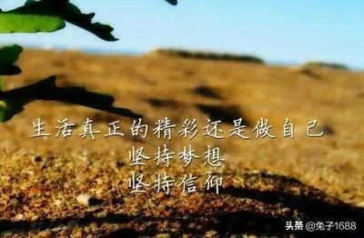 专转本是什么意思？