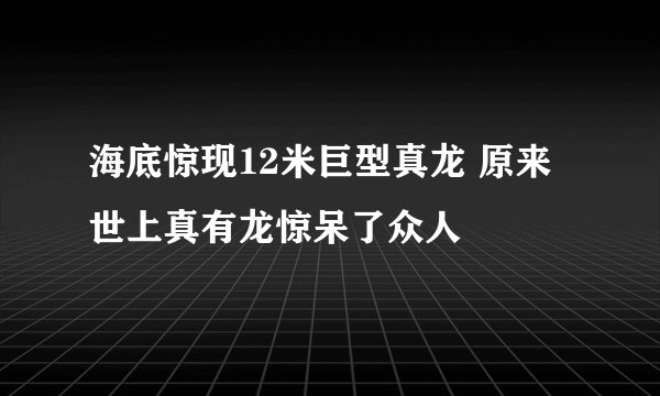 海底惊现12米巨型真龙 原来世上真有龙惊呆了众人