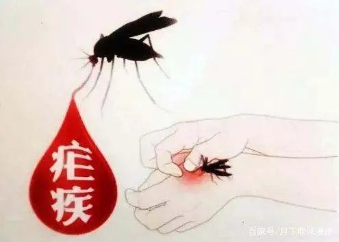 中国正式获得世卫消除疟疾认证，其中经历了怎样的艰苦历程？